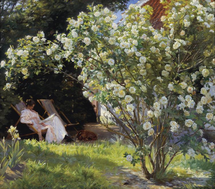 Peder Severin Kroyer Roses Garden in Skagen (nn02) Sweden oil painting art